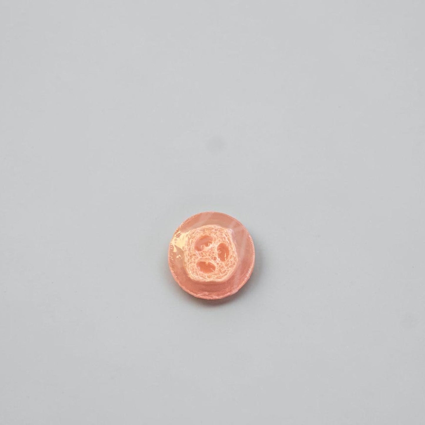 A round loofah soap on a white background.