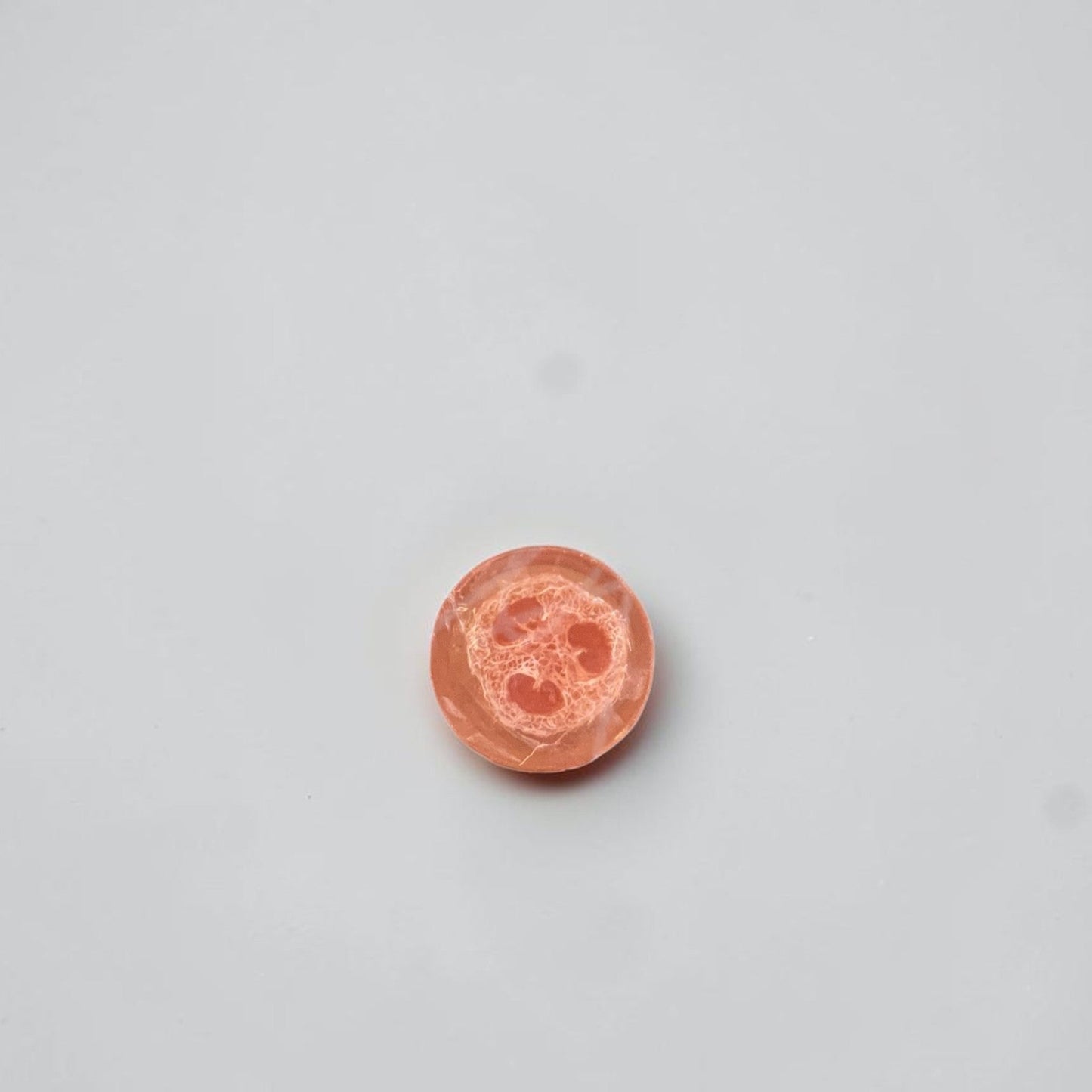 A round loofah soap on a white background.