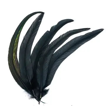 5 black feathers on a white background