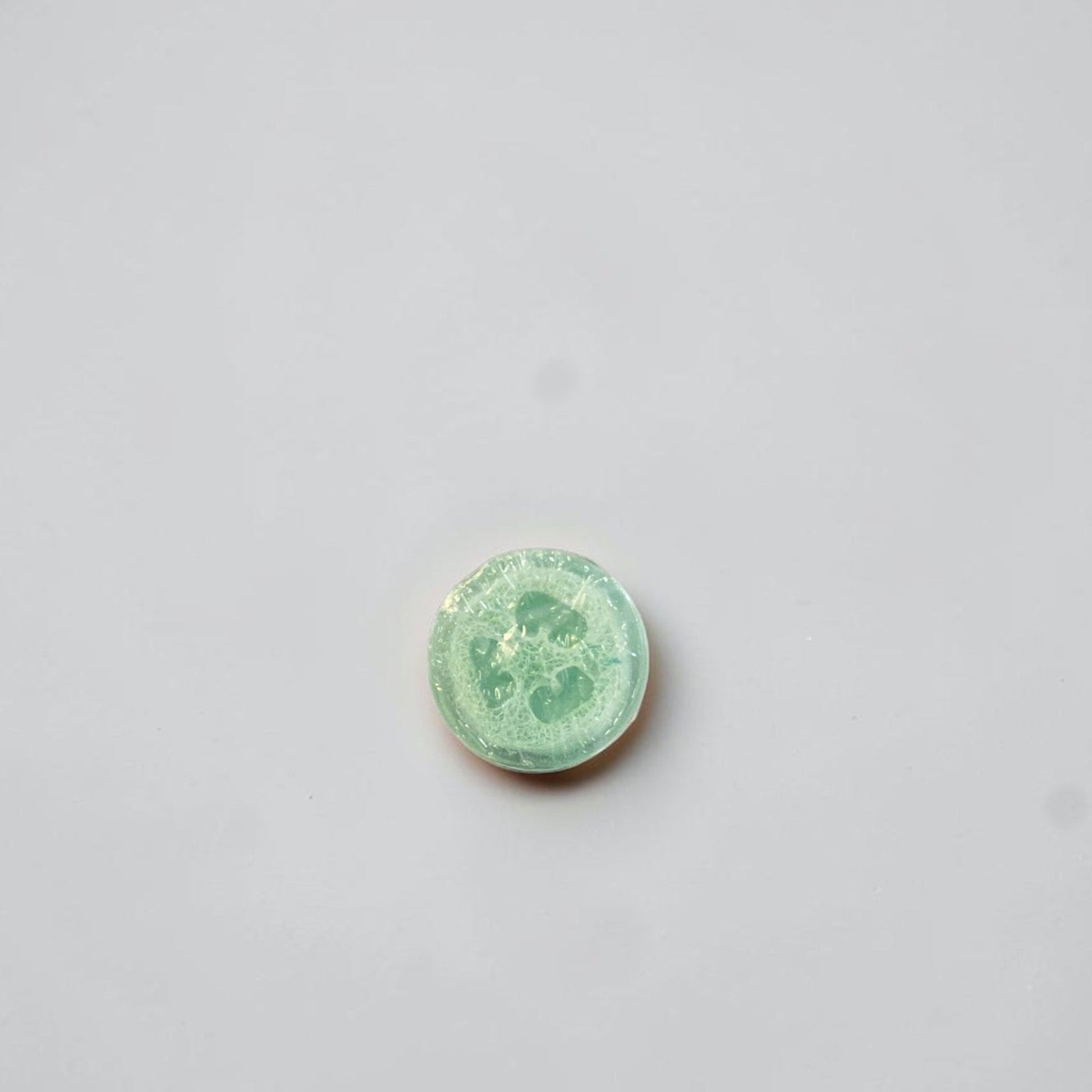 A round loofah soap on a white background.