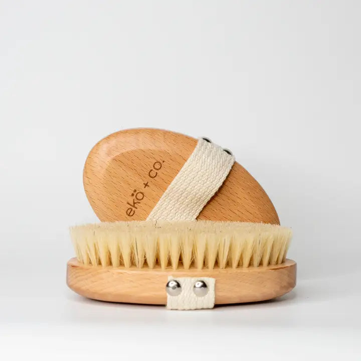 two body brushes, one standing behind the other. sitting on a white surface with a white background. Sold Individually