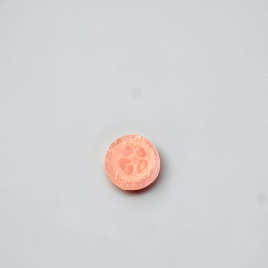 A round loofah soap on a white background.