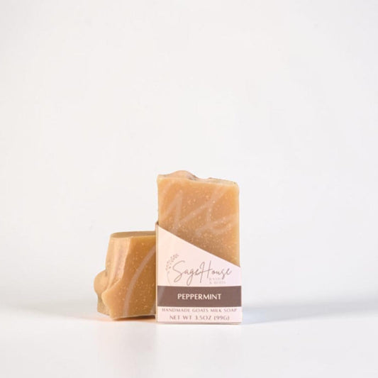 A labeled bar of soap sitting in front of a matching bar of soap. On a white background.