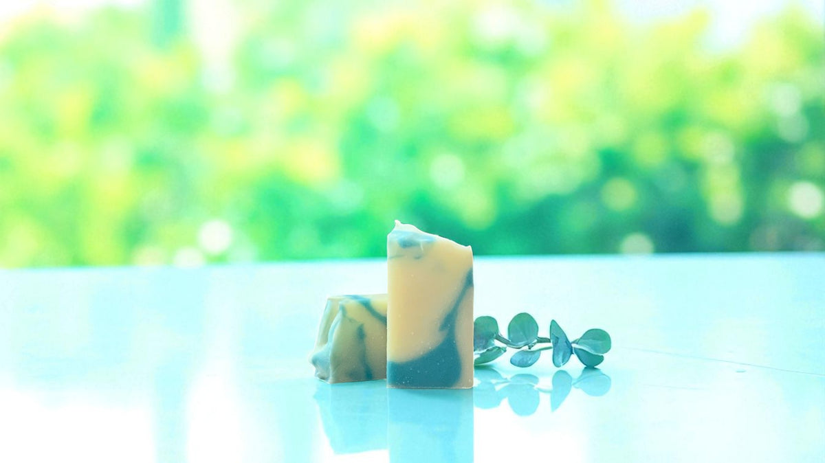 A bar of natural toned soap, with accents of turquoise on a white countertop, with greenery behind, and a blurred background