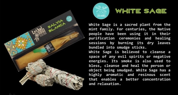 White sage with packaging and information text on a black background